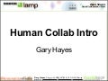 Online Human Collaboration