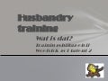 Woestok got Talent bijlage bij  PP nr 2 - husbandrytraining