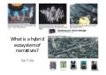 Hybrid Ecosystem Of Narratives