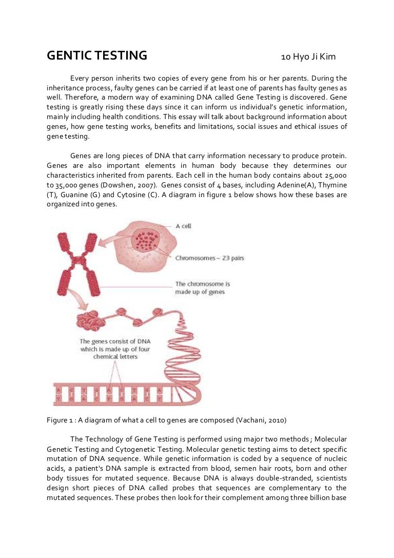 Genetics Essay Underfontanacountryinncom Dna Essay Dna Replication Essay Format Of Marketing Research Report Genetics Essay Essay For High School Students also Assignment Help Us High School Essay Help