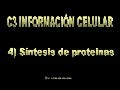 I4 sint prot_pdf1