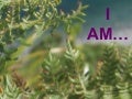 I am
