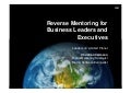 IBM and Reverse Mentoring, presentation for Odense Kommun, May 10th 2010