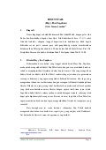 Ibnu Thufail (Makalah Usman Jambak)