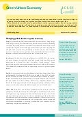 ICLEI Green Economy Policy Brief