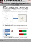  Isolation and identification of Staphylococcus aureus from informally marketed bovine milk in urban and peri urban areas of Debre-Zeit, Ethiopia