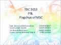 Ict  flagships of msc