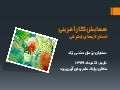 استارتاپهای اینترنتی