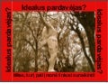 Idealus pardavejas? Pardavimų formulė