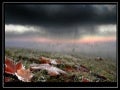 Igor Zenin-photograps