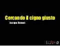Cercando il cigno giusto