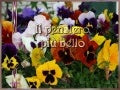 Il Pensiero Più Bello B