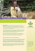 Ethiopia: Sheep-fattening transforms lives. ILRI
