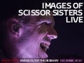 Images of Scissor Sisters live in Brighton 2010
