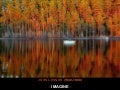 imagine