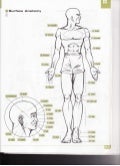 Picture Vocabulary 1