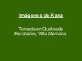 ImáGenes De Rana