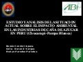 Renée Condori Apaza, Impacto Ambiental-Industria Azucarera