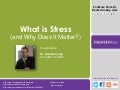 The Impact of Stress on Your Business Bottom Line