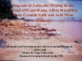 Impacts of Lafayette Mining In The Island of Rapu-Rapu Albay Resulting From Cyanide Spill and Acid Mine Drainage