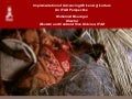 Implementation of Advancing African Agriculture: An IFAD Perspective 