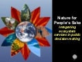 Implementing Ecosystem Services Public Decision Making