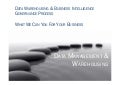 Implementing BI & DW Governance