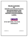 Importance of effective brand building and segmentation with respect of icici credit cards