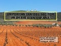 Importancia del sector primario en España