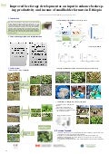 Improved bee forage development as an input to enhance beekeeping productivity and income of smallholder farmers in Ethiopia