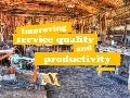 Improving service quality