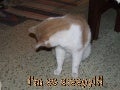 I&rsquo;m so sleepy!
