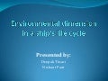 Imt Presentation On Ships Life Clycle