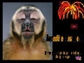 Incredible Creatures