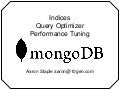Indexing and Query Optimizer (Aaron Staple)