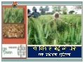 SWI manual in Hindi - Bihar, India