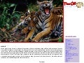 India Experience Concepts
