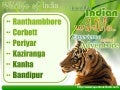 India Wildlife Tour