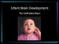 Infant Brain Development