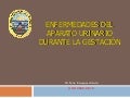 Infeccion Urinaria Gestacion