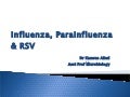 Influenza a b