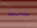 Influenza Porcina - Swine Flu - Influenza Humana