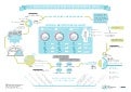 Infografia ekintzailetza c.a.v.