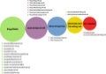 Infografia hezigune 2010_2011