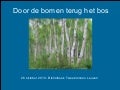 Door de bomen terug het bos