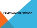 Informatica diapositivas ayb