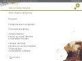 Informationssøgning