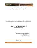 Informe