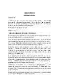 Informe avanzado.docx peritaje contable