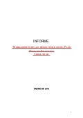 Informe Plan Guayana Socialista